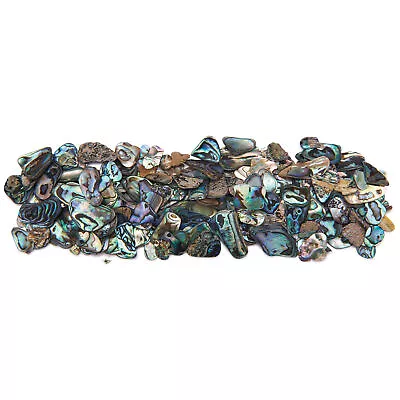 Easy Inlay Paua Abalone Inlay Material - Large - 2 Oz. • $31.48