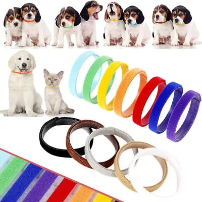 12x Adjustable Newborn Puppy Kitten ID Collar Bands Breeders Whelping Pet New • £3.37