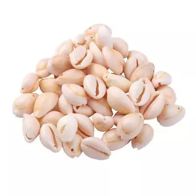Spiral Shell Beads Beach Cowrie Shells Charms And Beads For • £11.57