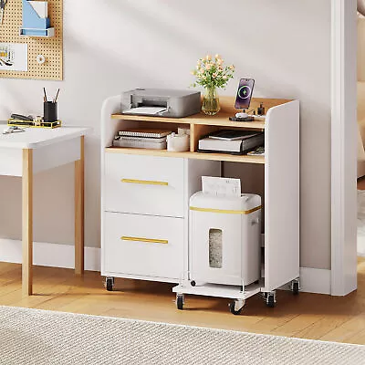 2-Drawer File Cabinet Lateral Filing Cabinet Office Printer Stand With Shelves • $134.51