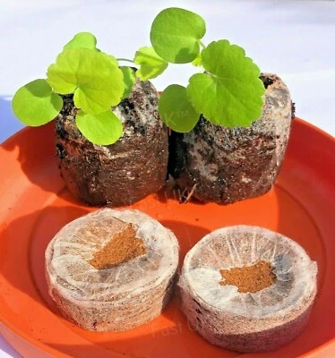 £28.99 • Buy Seed Starting Soil Modules - Starter Compost - Sowing, Growing & Cuttings