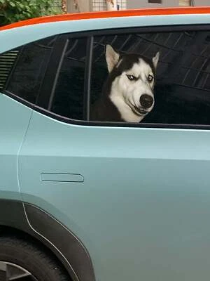 £4.63 • Buy 1pc Dog Pattern Car Sticker Funny Car Window Husky Sticker Decal Vinyl Peel