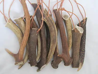 £5.10 • Buy One Piece Of Natural Deer Antlers , Dog Chews 100% Natural