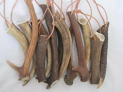 £7 • Buy Two Pieces Of Natural Deer Antlers, Dog Chews (XS,S,M,L,XL,XXL,HUGE, SUPER HUGE)