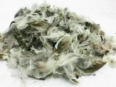 Upholstery Soft Duck Feather Toy Stuffing Pillow Cushion Sofa Filling 1kilo • £7.99