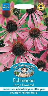 Mr Fothergills - Pictorial Packet - Flower - Echinacea Large Flowered - 50 Seeds • £3.99