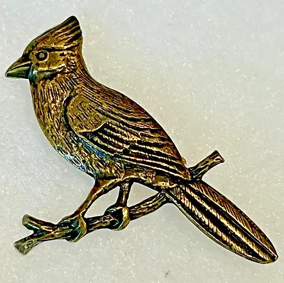 Cardinal Blue Jay Bird Brooch Bronze Antique Gold Tone VINTAGE Pin FREE SHIP • $18.98