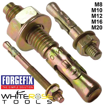 ForgeFix Through Bolts Wall Floor Anchor Hanging Rawl Brick Masonry Concrete • £11.35