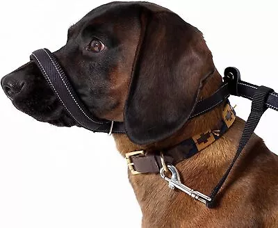 180cm Halti Style Padded Head Collar Stops Dogs Pulling Halter Nose Reigns Pet • £12.95