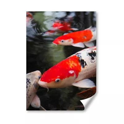 A4 - Koi Carp Pond Fish Japanese Poster 21X29.7cm280gsm #21765 • £4.99