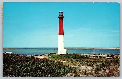 Beach Haven NJ Barnegat Lighthouse State Park GRAND OLD CHAMPION Postcard A67 • £4.81