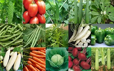 Essential Survival Kit Perfect Vegetable Garden 5 DELICIOUS Varieties GROW FOOD! • $8.99