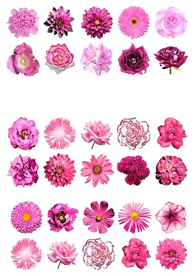 £2.19 • Buy 30 Beautiful MIXED PINK Flowers Edible Wafer Paper Cupcake Cake Toppers