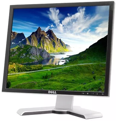 DELL Ultrasharp 19  Inch LCD Monitor Screen 1907FPT VGA DVI P1907FPT 5:4 *USED • $55