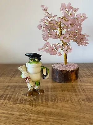 Frog Professor  Trinket Box Hand Made By Keren Kopal & Austrian Crystals  • $12.50