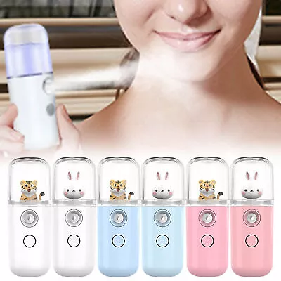 Portable Face Moisturizing Mist Sprayer Steamer USB Mister Humidifier 30ml AU • $9.49