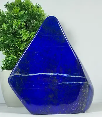 1191g Lapis Lazuli Freeform Rough Tumbled Polished AAA+ Grade From Afghanistan • $149.99