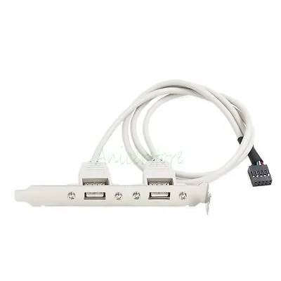 Dual USB 2.0 Port Back Panel Slot Bracket 10Pin Motherboard Header Data Cable  • $8.99