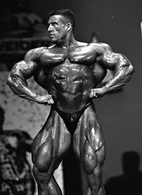 Dorian Yates Wall Poster Mr Olympia Muscle Bodybuilding Sz A4 A3 A2 & A1 • £8.99