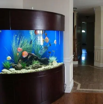 440G Glass Corner 1/4 Cylinder Reef-ready Aquarium Real Wood Shipped + Warranty! • $18830