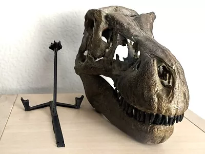 Tyrannosaurus Rex Complete Skull Reconstruction (T. Rex) • £139.32