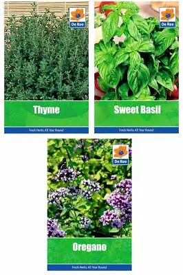 £2.97 • Buy HERB Collection CLASSIC Garden SEEDS - Sweet BASIL, OREGANO & THYME