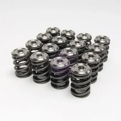 Skunk2 Alpha Valve Springs + Titanium Retainer Kit For Honda K20/K24 Engine • $357.99