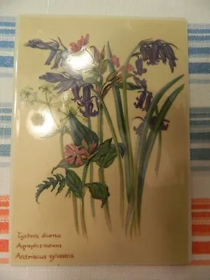 Nice  Villerboy & Boch Ceramic Postcard/photo Floral (lychnis Diurna) - W. Ger. • $7.99