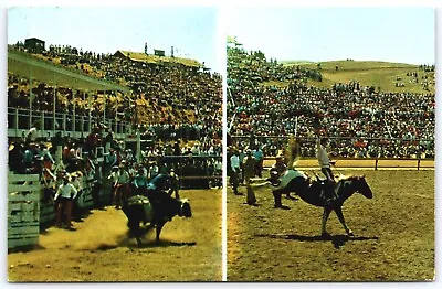 Postcard California Rodeo Camp Pendleton Navy Relief Society Bull Bronco • $4.70