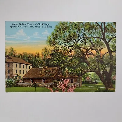 Large Willow Tree Old Village Spring Mill Mitchell IN Indiana Vintage Postcard • $5