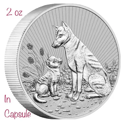 2022 Mother & Baby Dingo 2oz Piedfort Silver Coin • $122.99