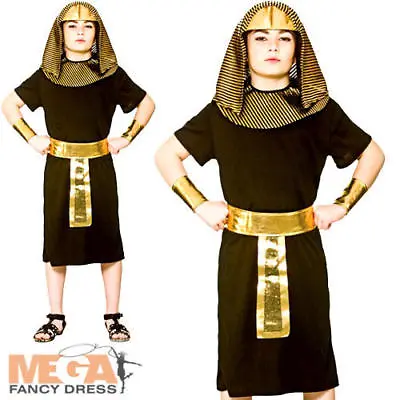 £13.99 • Buy Egyptian King Boys Fancy Dress Historical Egypt Pharoah Kids Childrens Costume