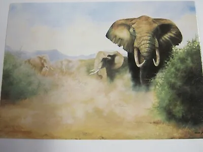 Vintage Medici Society Defending The Herd Postcard P.C.2159 Elephant • $3.95