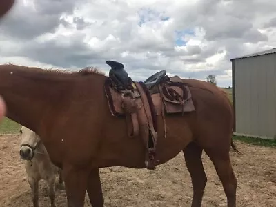 15  Charro Saddle • $65