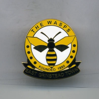 £1.90 • Buy East Grinstead Town  Fc  Non League Football Pin Badge