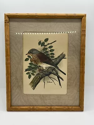 Vintage Bird Print By Ph Gommer Signed Framed • $17.24