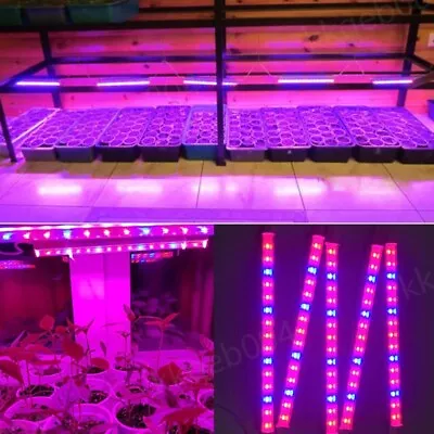 Greenhouse Plant Grow Light T5 Tube LED Growing Tent Box Growth Lamp Hydroponic • $41.35