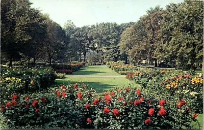 $4.55 • Buy Dahlia Gardens At Detroit Zoo Michigan Vintage Postcard