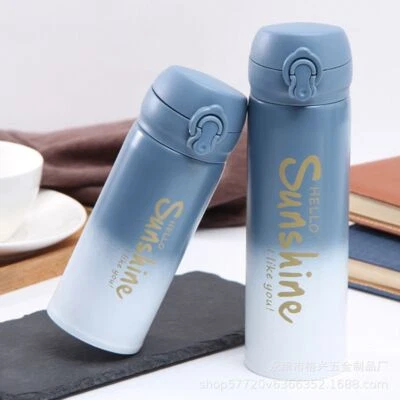 $16.27 • Buy Stainless Steel Water Bottle Double Wall Insulated Drink Cup Flask Sport Thermos