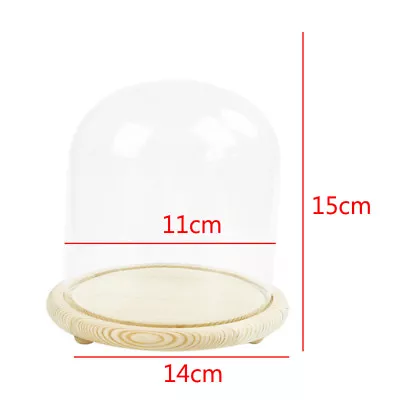 £8.95 • Buy Large Glass Display Cloche Bell Jar Dome With Wooden Base DIY Xmas Display Stand