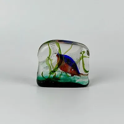 Murano Glass Aquarium Sculpture Attributed To Riccardo Licata For Cenedese C1950 • $599