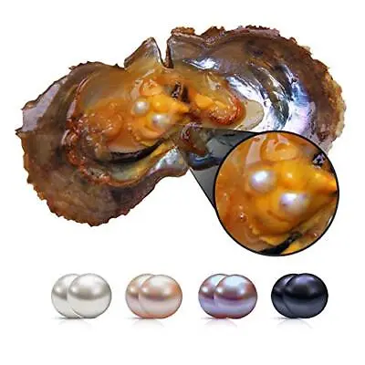 $56.14 • Buy LGSY 6-7mm Mixed Colored Akoya Saltwater Cultured Twins Pearl Oysters For DIY...