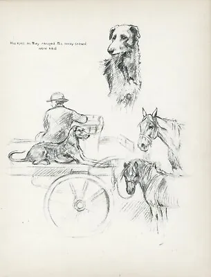 LURCHER MAN HORSES CART LOVELY VINTAGE 1933 DOG SKETCH PRINT PAGE By K F BARKER • £8.99
