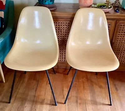 Vintage Herman Miller  Yellow Beige Molded Fiberglass Eames Shell Chairs Pair • $699.99