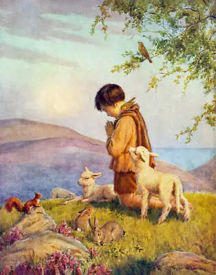 Little Boys Praying Lambs Rabbits  Squirrel  And Bird  By Margaret Tarrant • $16.95