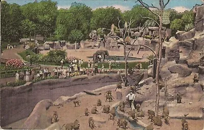 $7.50 • Buy Royal Oak, MICHIGAN - Detroit Zoo - Monkey Island - 1943 - LINEN