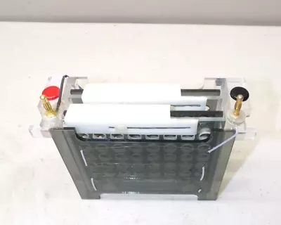 Bio Rad Mini-Protean Transblot Gel Electrode Assembly W/ 2 Cassettes • $149