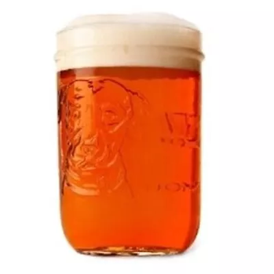 Lagunitas 16 Ounce Mason Jar Glasses Set Of 2 • $23.82