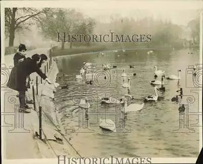 1930 Press Photo Students Visit Swans In Lake At Regents Park London England • $19.99