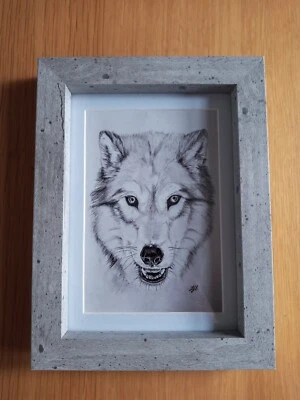£0.99 • Buy WOLF 6x4  Unframed Matt Photo Print Picture Love Gift Animal 